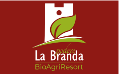 Consulta volontariato